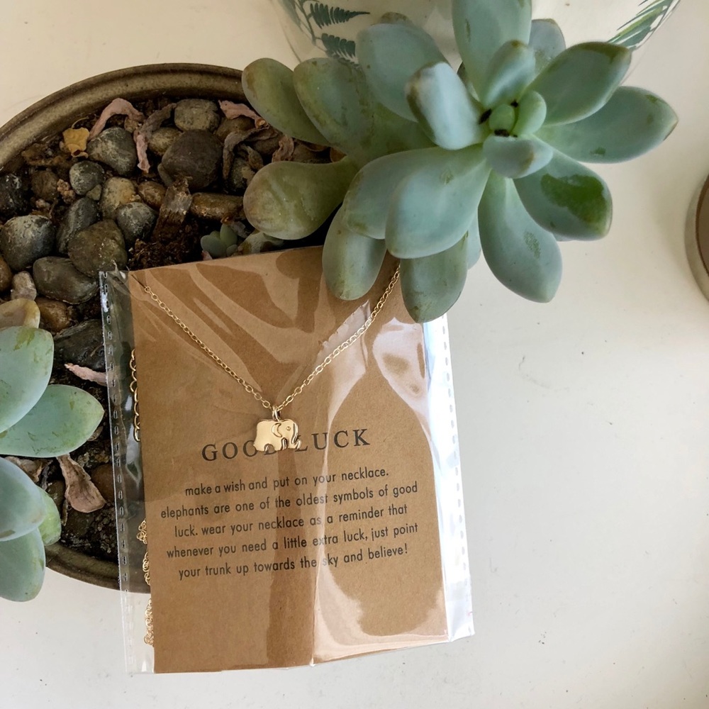 BOGO FREE Good Luck Necklace